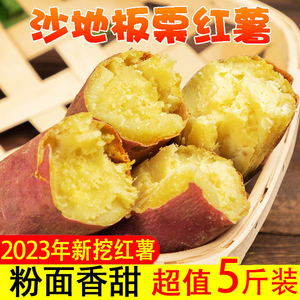 2023陕西板栗红薯新鲜10斤农家自种新鲜香薯蜜薯现挖自种小地瓜