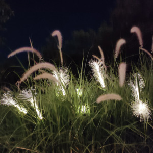 太阳能光纤芦苇灯户外草丛插地景观灯公园别墅园林庭院装饰灯氛围