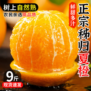 新鲜秭归夏橙当季时令水果手剥冰糖果冻甜赣脐南橙子榨汁包邮整箱