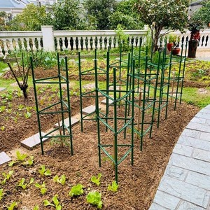 西红柿番茄架茄子爬藤架园艺花卉绿植支撑杆阳台地面固定支撑杆子