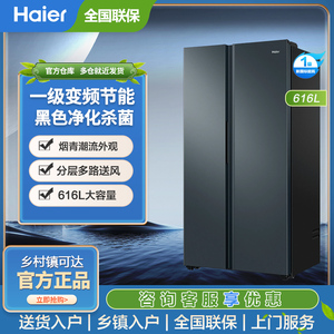 Haier/海尔 BCD-616WGHSSEDC9冰箱家用616L对开双门一级变频无霜