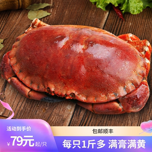 每只1斤多特大面包蟹熟冻新鲜活冷冻超大珍宝蟹生冻蟹梭子蟹海鲜