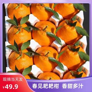 四川春见粑粑柑新鲜水果丑八怪杷杷柑10斤整箱甜蜜柑橘桔子
