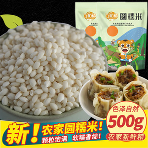 2023新货东北圆糯米新货新米包白粽专用珍珠糙米籼米五谷杂粮500g