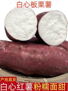 河南白心板栗薯红皮干面地瓜新鲜白瓤山芋白薯干心番薯白芯红薯