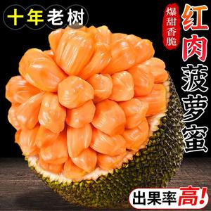 泰国红肉菠萝蜜整个6-18斤应当季新鲜水果红心波罗蜜整箱包邮