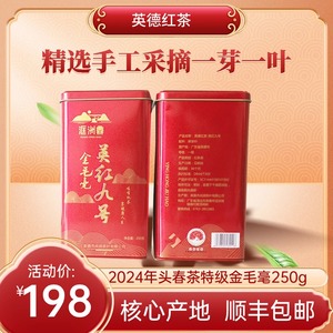 【洭洲牌】2024年明前茶英红九号英德红茶浓香型红茶送礼自饮佳品