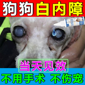 狗狗白内障专用眼药水滴眼液宠物泪痕眼屎眼部清洁角膜炎抗菌消炎