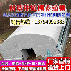 养殖大棚养猪大棚全套大棚骨架家用温室种植棚专业养鸡棚羊棚牛棚