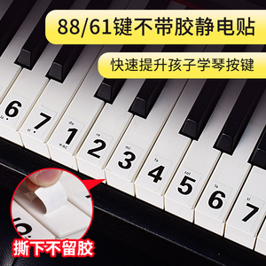 简谱钢琴键盘贴纸 88键专业61键54键 儿童成人电子琴音符按键贴纸