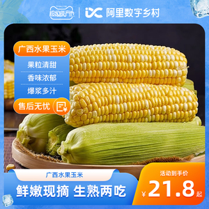 【数乡宝藏】广西水果玉米新鲜甜玉米4.5斤新鲜现摘玉米包邮a