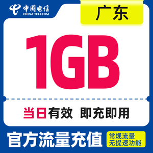 广东电信日包1GB全国流量包 手机流量充值直充流量包 中国电信