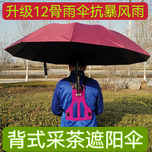 背式采茶遮阳伞可背太阳伞背架钓鱼伞不用手撑的伞防晒抗暴风雨伞