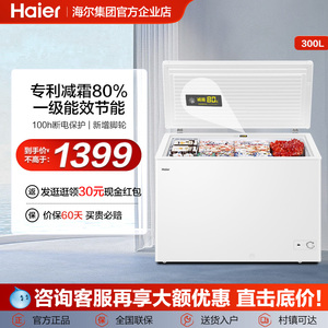 海尔小冰柜家用商用小型冷柜全冷冻节能单温大容量减霜冰箱官网