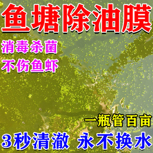 鱼塘除油膜池塘改底解毒改善水质净化剂清除铁锈去碱藻消毒杀菌药