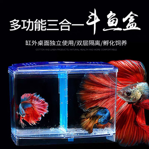 大号双格斗鱼盒生态斗鱼缸迷你水族箱塑料隔离盒繁殖盒斗鱼孔雀鱼