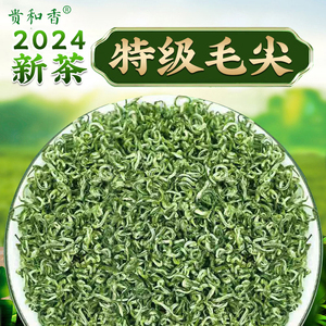 特级2024新茶贵州都匀毛尖茶叶明前高山云雾浓香型炒青绿茶散装