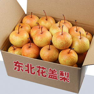 正宗东北花盖梨5斤装鞍山特产新鲜水果整箱可做冻梨子秋子梨