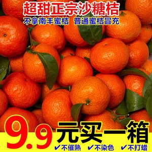 现摘广西砂糖橘新鲜水果沙糖桔10斤小橘子超甜桔子当季蜜橘整箱10