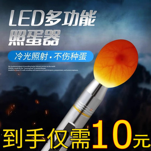 照蛋器led手电筒孵化专用验蛋孵蛋可充电照蛋灯蛋种检查冷光孵化