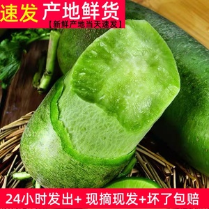 潍坊超甜水果萝卜5斤 山东农家特产潍县脆甜生吃沙窝蔬菜包邮