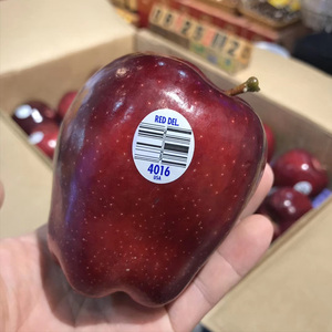 【礼盒装】顺丰 美国红蛇果进口品种品种苹果当季新鲜水果整箱