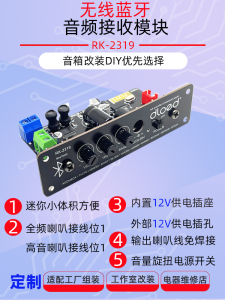 DIY改装蓝牙功放主板3寸4寸5寸6寸8寸12V家用车载音箱功放主板