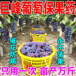 巨峰葡萄保花保果药防落果坐果灵果树授粉坐果精防裂果膨大增甜肥