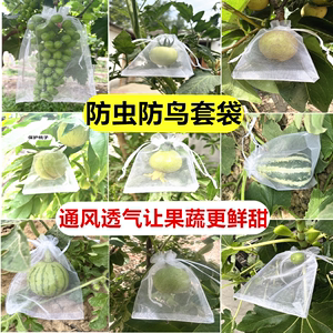 果树防虫套袋防鸟纱布袋保护葡萄袋无花果番石榴草莓套袋桃子套袋