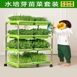 生豆芽神器家用无土栽培催芽空心菜豆苗育苗盘菜芽红豆小型豆牙盆