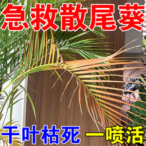 散尾葵专用肥料营养液观叶绿植夏威夷凤尾竹叶子发黄枯叶杀菌虫剂