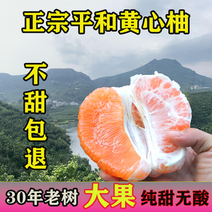 正宗福建平和黄肉蜜柚黄心柚子10斤新鲜当季孕妇水果琯溪黄金柚子