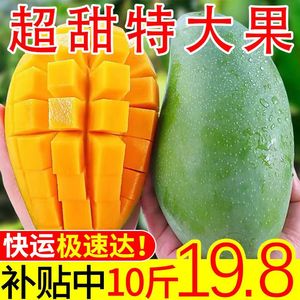 大青芒果10斤新鲜水果青皮金煌芒新鲜水果越南当季大芒果整箱