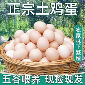 农家鸡蛋林下散养40枚鲜柴鸡蛋正宗土鸡蛋初生蛋农村笨鸡蛋包邮