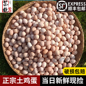 【顺丰包邮】苏北土鸡蛋30枚新鲜鸡蛋正宗农家散养农村柴笨草鸡蛋