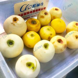 四川青苹果气动吸盘式商用不锈钢百香果削皮机去皮机 剥皮机直销