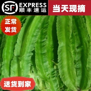 海南豆角四棱豆四角豆龙角豆皇帝豆鲜嫩应季新鲜蔬菜现摘整箱包邮