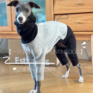 一只小猎犬黑灰拼色四脚衣加绒保暖小灵缇惠比特细狗衣服