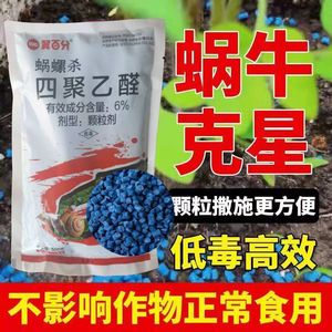 四聚乙醛蜗牛药鼻涕虫杀蜗牛专用农药四聚乙酫颗粒果树菜地杀虫剂