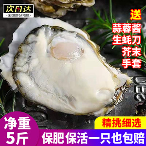 连云港生蚝鲜活10新鲜海蛎子5斤海鲜特大牡蛎贝壳即食水产整箱