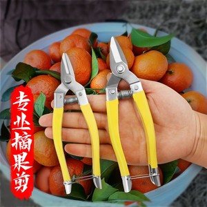 不锈钢果剪罗摘果剪定采柑桔剪蔬果剪迷你果剪刀圆头果子剪修花剪