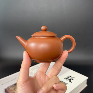 坭兴陶钦州红窑变水平茶壶茶具手工非紫砂六堡茶器130毫升捡漏