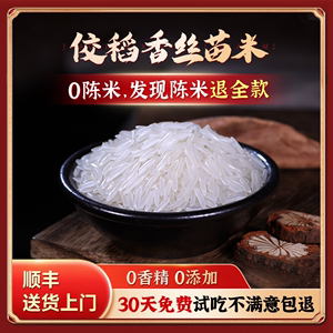 佼稻香猫牙香米2023年新米丝苗长粒香大米泰国稻种煲仔饭蛋炒饭米