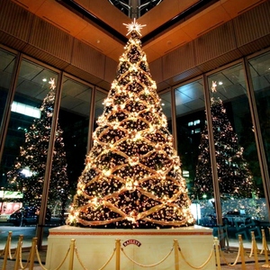 大型框架圣诞树套餐4米5米6米7米8米10米12米铁艺圣诞节DP点装饰