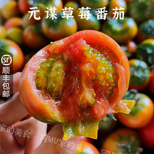 云南元谋特产铁皮柿子露天水果草莓番茄西红柿新鲜自然熟藩茄5斤