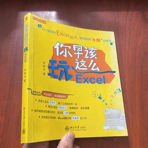 二手正版书北京大学出版社你早该这么玩Excel伍昊