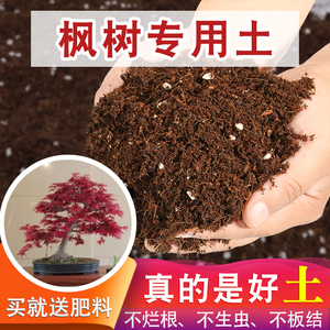 红枫专用土种花泥土枫树专用土肥料营养土养花通用专用花土种植土