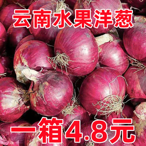 云南紫皮洋葱新鲜9斤小圆葱甜洋葱当季蔬菜红皮特产农家自种整箱