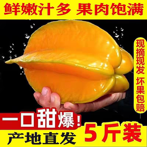 杨桃水果新鲜当季热带新鲜精选整箱现摘广东大果五斤装特大甜