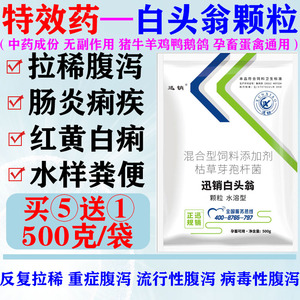 白头翁散颗粒兽用猪牛羊鸡鸭肠炎痢疾腹泻红黄白痢水样粪便拉稀药